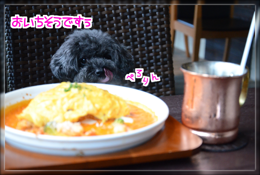 5DSC_9289.png