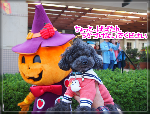 5PA190367.png