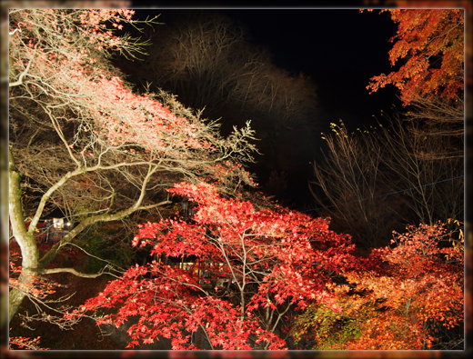 5PB110083.png