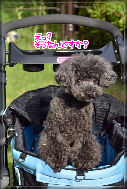 6DSC_0502.png