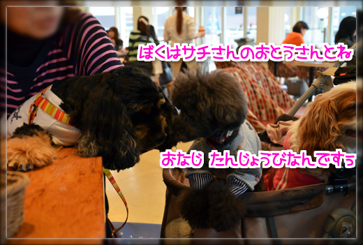 6DSC_2343.png