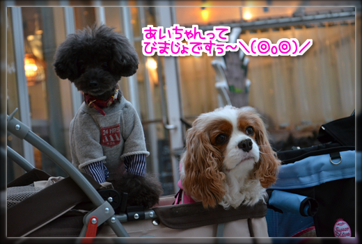 6DSC_2504.png