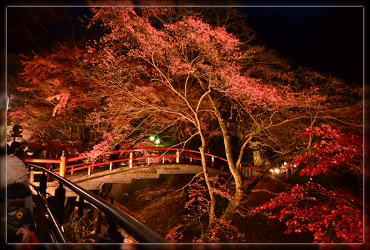 6DSC_2908.png