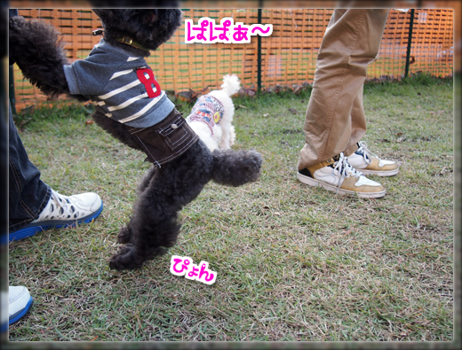 6PA180242.png