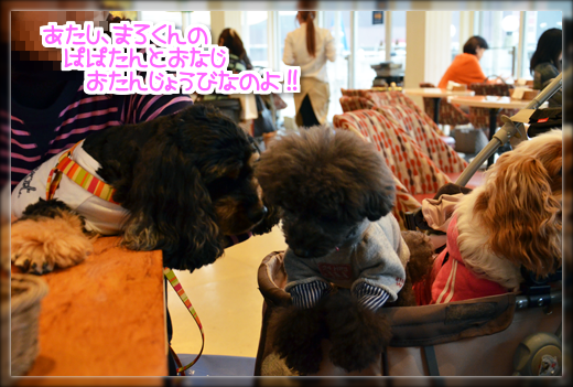 7DSC_2344.png