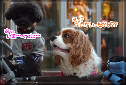 7DSC_2489.png