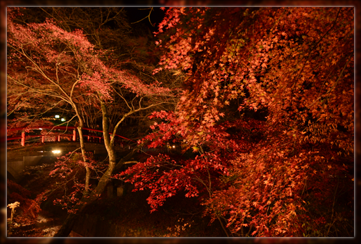 7DSC_2910.png