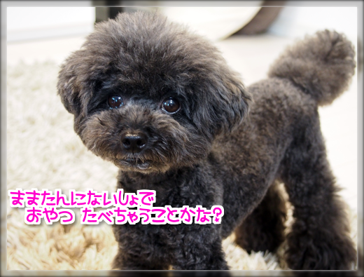 7P7300501.png