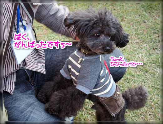 7PA180240.png