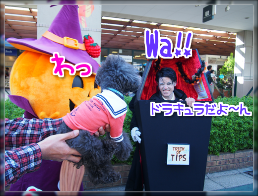 7PA190371.png
