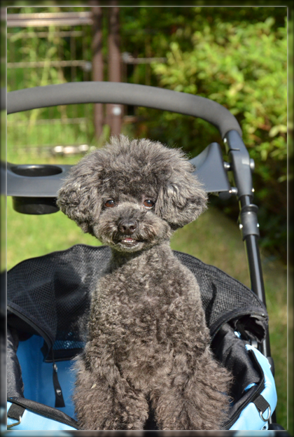 8DSC_0495.png