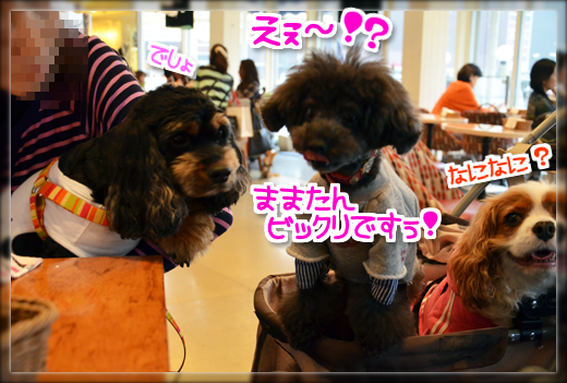 8DSC_2352.png