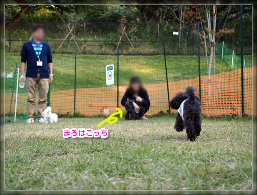 8PA180282.png