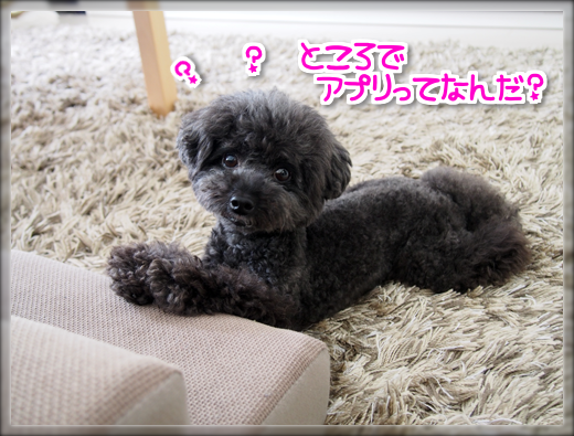 9P7310542.png