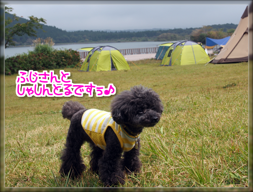 9PA041091.png