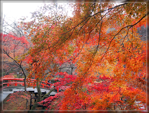 9PB110031.png