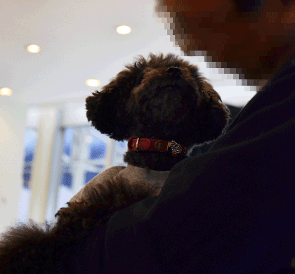 GIF-111-DSC_2292.gif