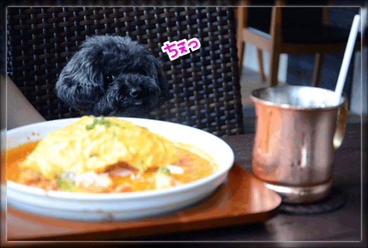 GIF-45DSC_9288.gif