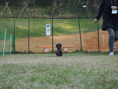 GIF-PA180287.gif
