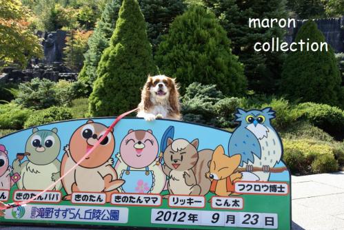 DSC08437.jpg