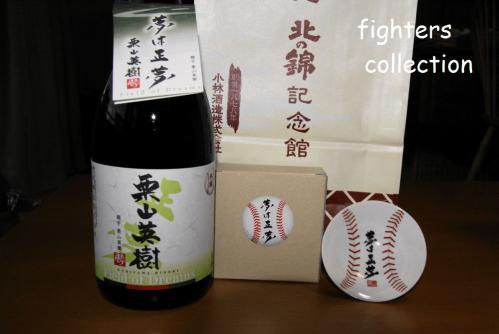 DSC08753.jpg