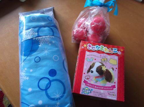 DSCF40280001.jpg