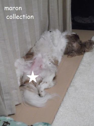 DSCF4236.jpg