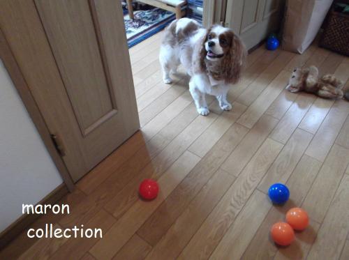 DSCF4279.jpg