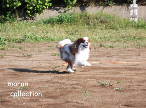 DSCF4287.jpg