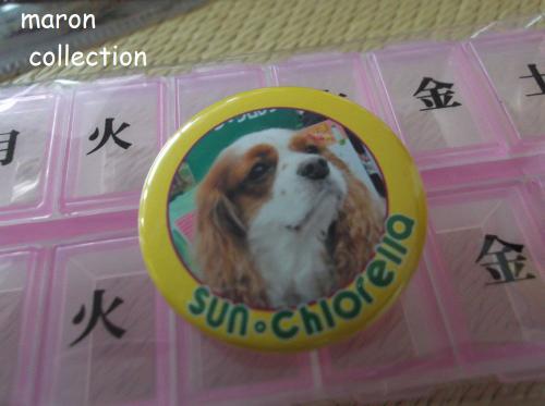 DSCF4374.jpg