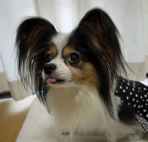 P1010344.jpg
