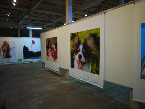 P1010431.jpg