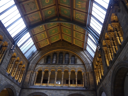 P1110683.jpg