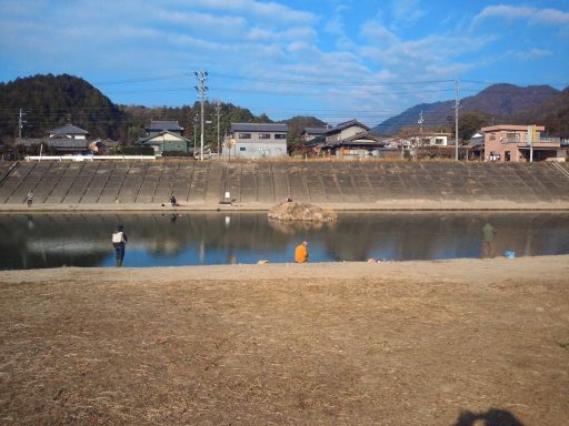 NEC_0069512.jpg