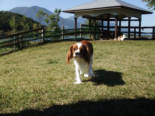 021_20121012110509.jpg