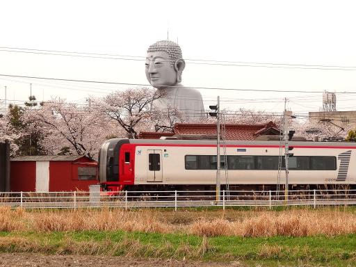 DSC06730RS.jpg