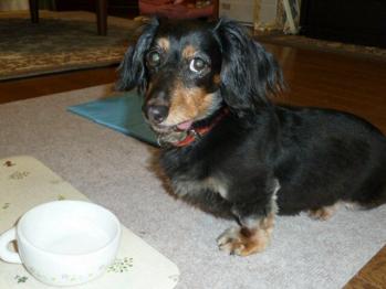 10_20120726224949.jpg