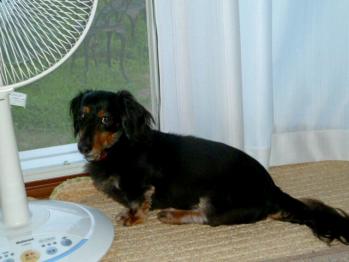 3_20120726224919.jpg