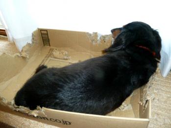 3_20120902170143.jpg
