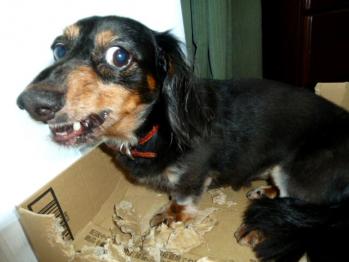 5_20120902170143.jpg
