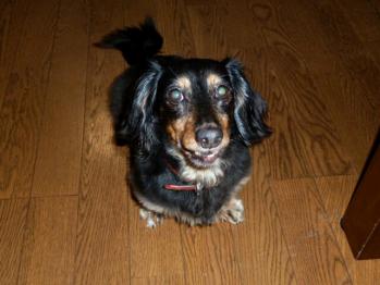 7_20120726224951.jpg