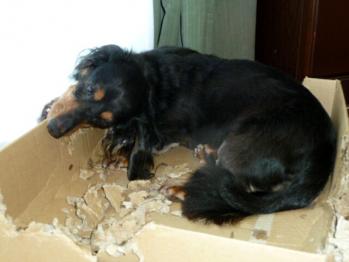 7_20120902170223.jpg