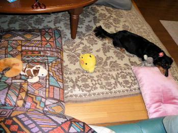 P1100758-01.jpg