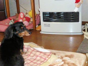 P1120059-01.jpg