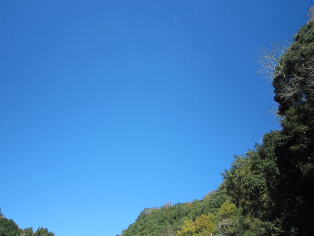 IMG_5869 (640x480)