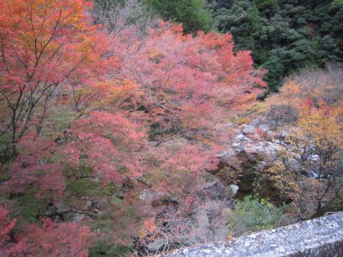 IMG_5855_convert_20121114145400.jpg