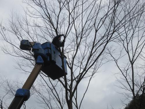 IMG_6224_convert_20121128140224.jpg