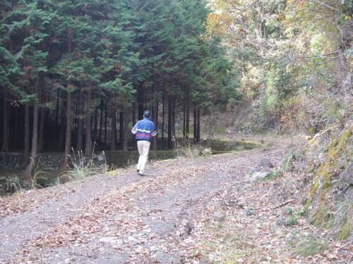 IMG_6233_convert_20121128140307.jpg