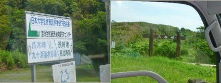 3_20120818210551.jpg