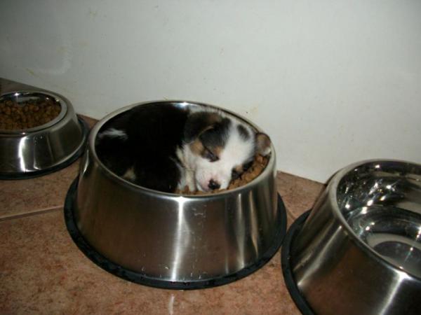2012051415.jpg